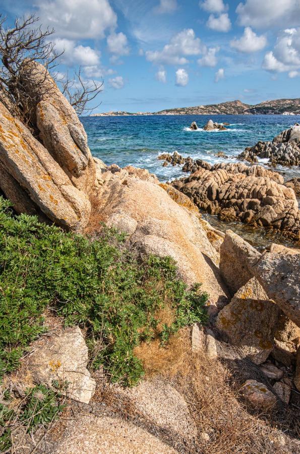 Yucca Apartman Olbia Kültér fotó